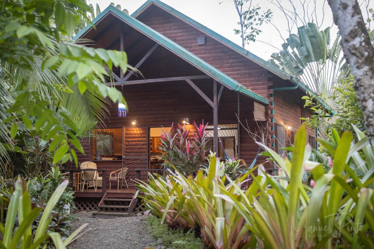 Vila Casa Ylang In Black Sand Beach Puerto Viejo de Talamanca Exteriér fotografie